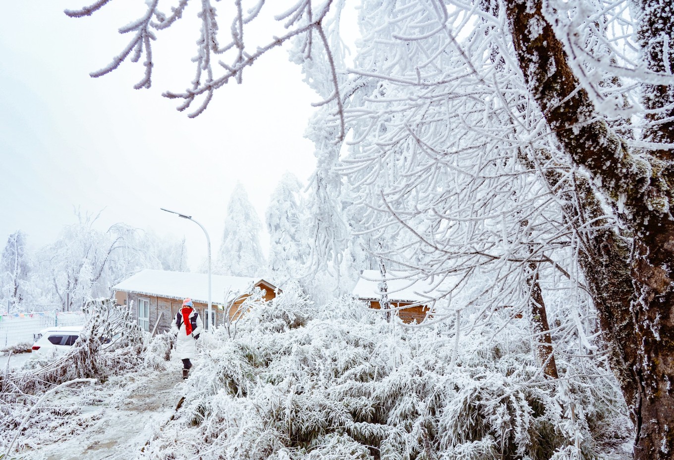 云海之上，贡嘎之巅，王岗坪冰雪之旅