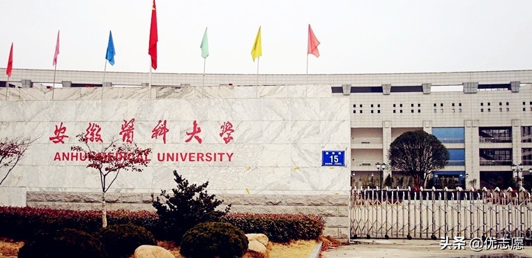 「高考志愿填报」安徽医科大学和温州医科大学谁的教学实力更强