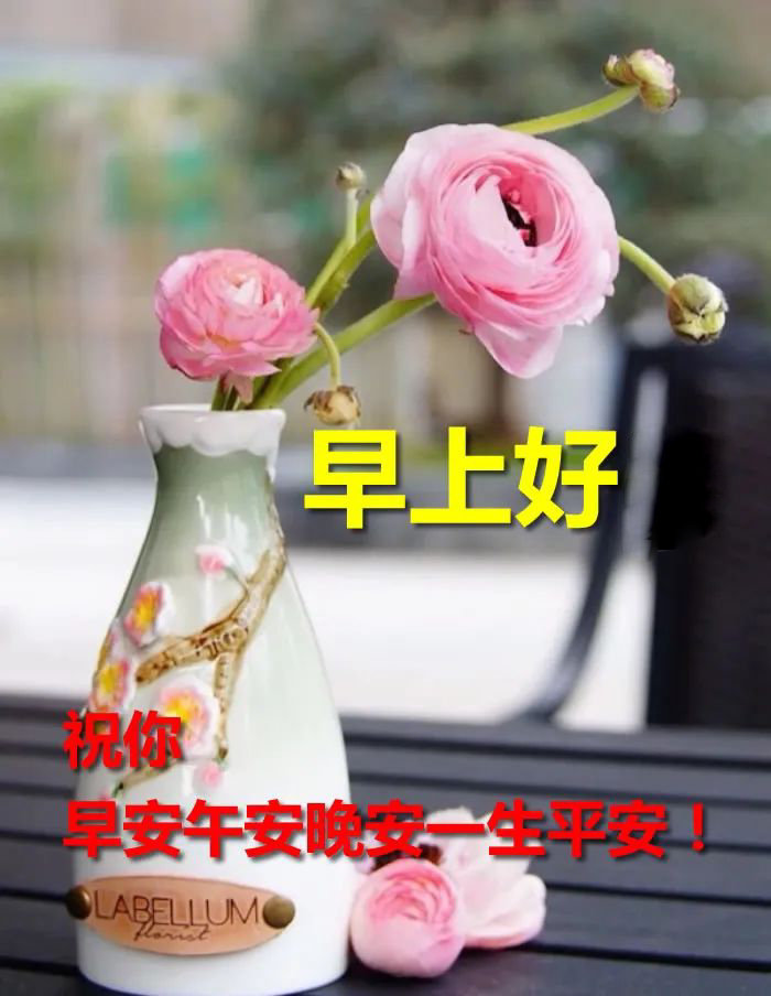 早上好图片 早晨好祝福语 天天开心、知足常乐 人生只有走出来的美丽图片