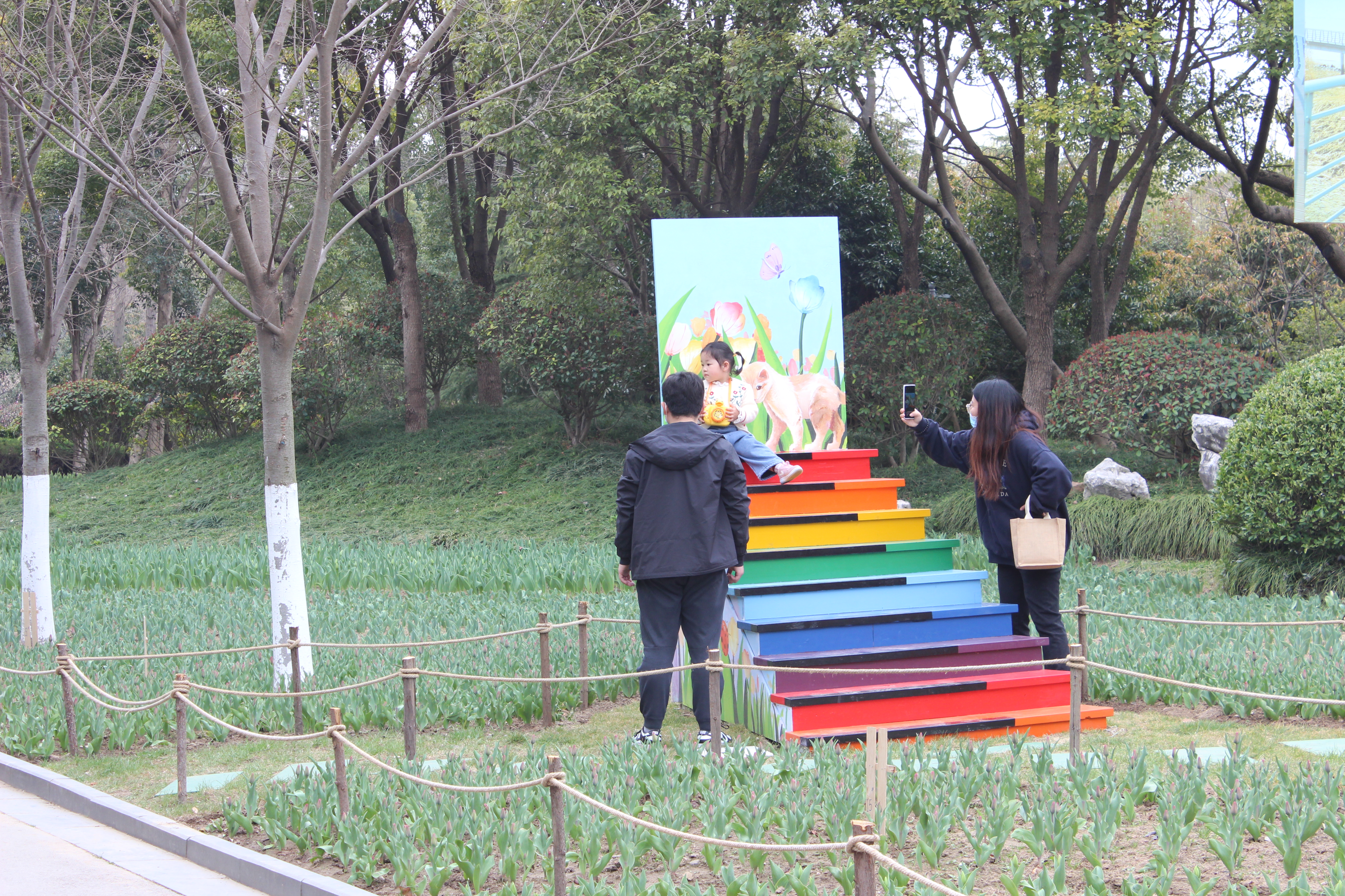 「啬园第十四届郁金香花展」以花之名，“郁”见春天