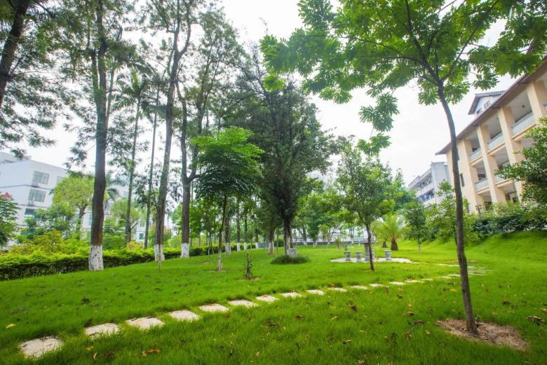 广东这四所高职院校，刚获得3.15亿资金支持，是低分考生的福音