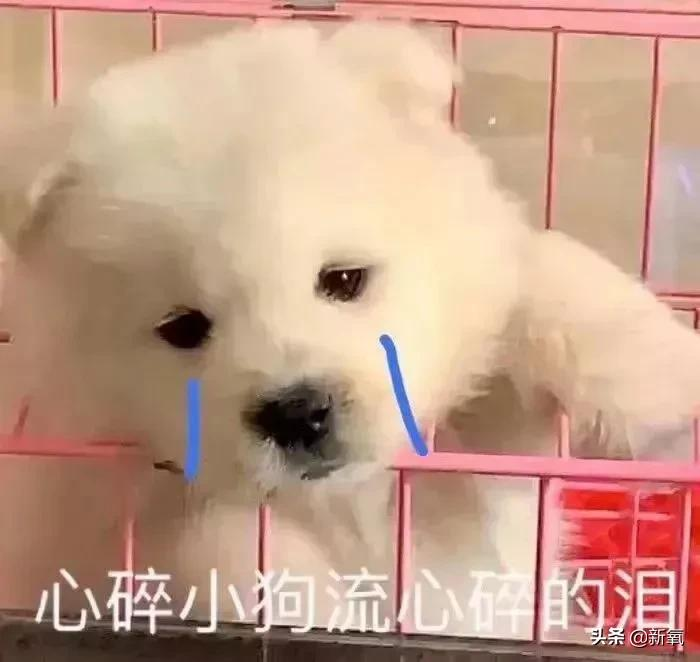 b站率先把亚历山德拉·特鲁索娃“请来了”？