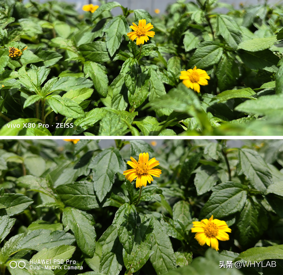 手机厂商们，该对相机水印上点心了