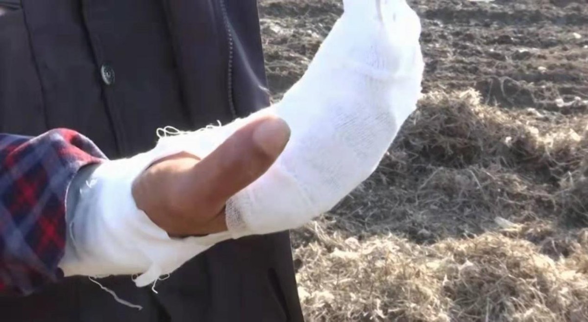 �ӱ����������������������ֹ����ֱ��׳������˵��Ƭ������