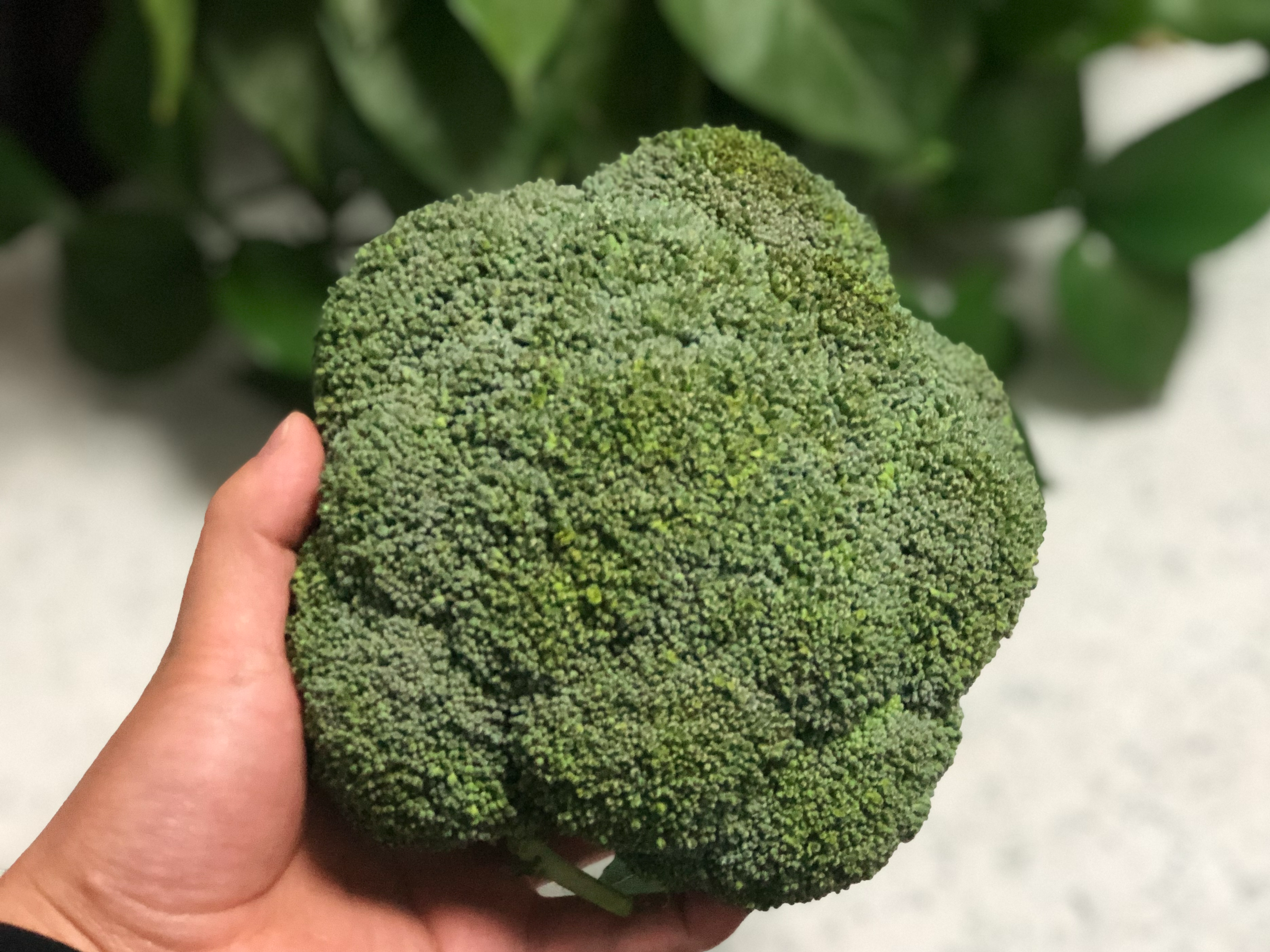 高考在即，多给孩子吃这5种“脑黄金”，提高记忆力，金榜题名