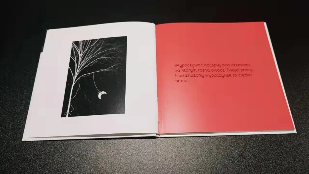 灵感对谈｜愚木混株：不要叫我「时间的朋友」