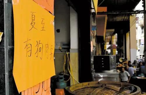 夏至狗，無路走，每年夏至，紫金人為啥非吃狗肉不可？