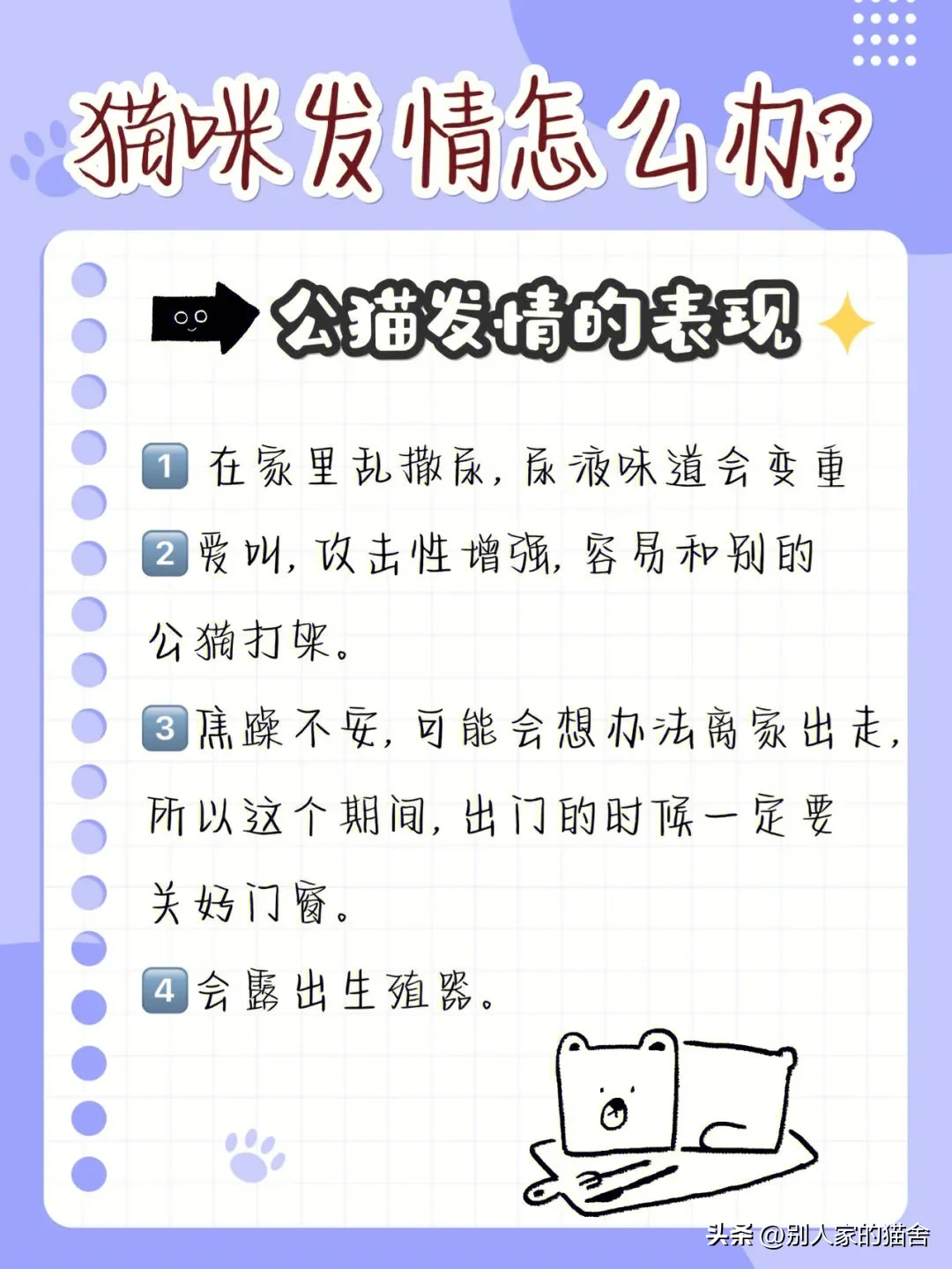 猫咪生理期怎么缓解(猫咪发情怎么办？科学应对发情期)