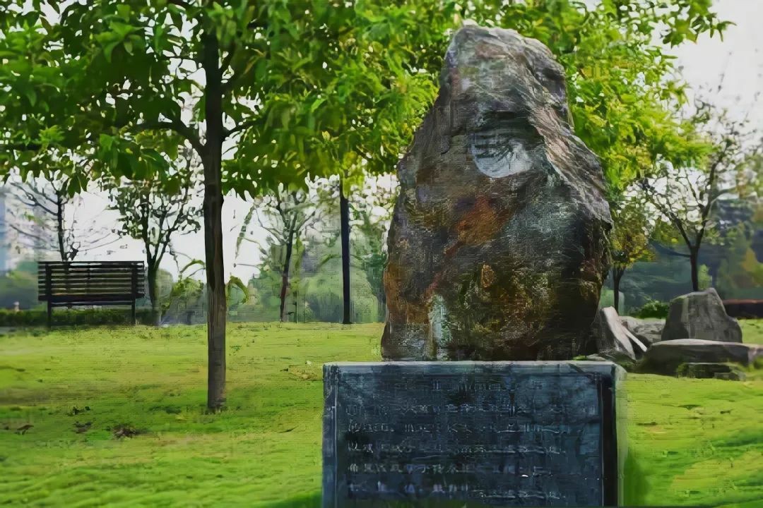 重庆超“有颜”大学！坐拥研究中心“全国唯一”，拥有价值超20万的神仙月季！