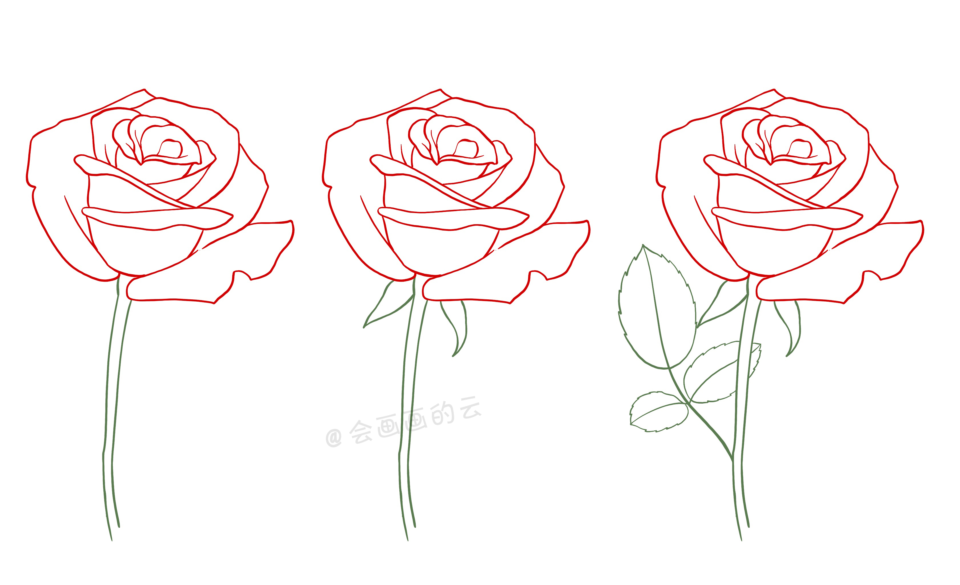 玫瑰花资料简单图片