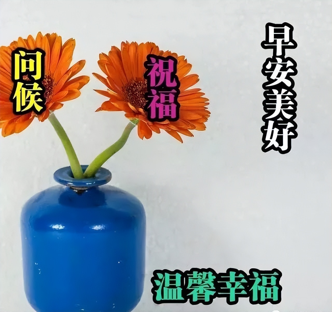 早上好的图片带字，最美早上好图片字鲜花，心之所愿、无所不成图片