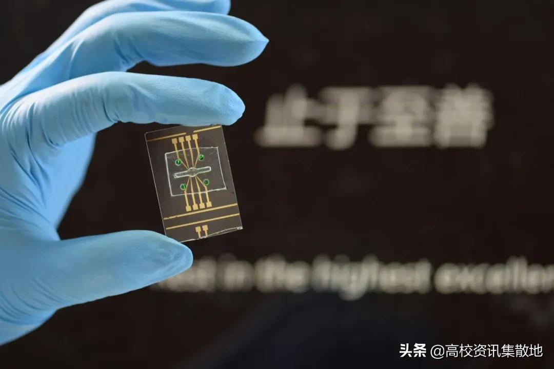 止于至善 | 东南大学，一个将校训写进DNA的学府