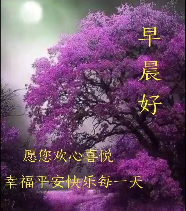 深秋今日更新早上好动态表情包 感恩的心看世界，幸福就无所不在图片