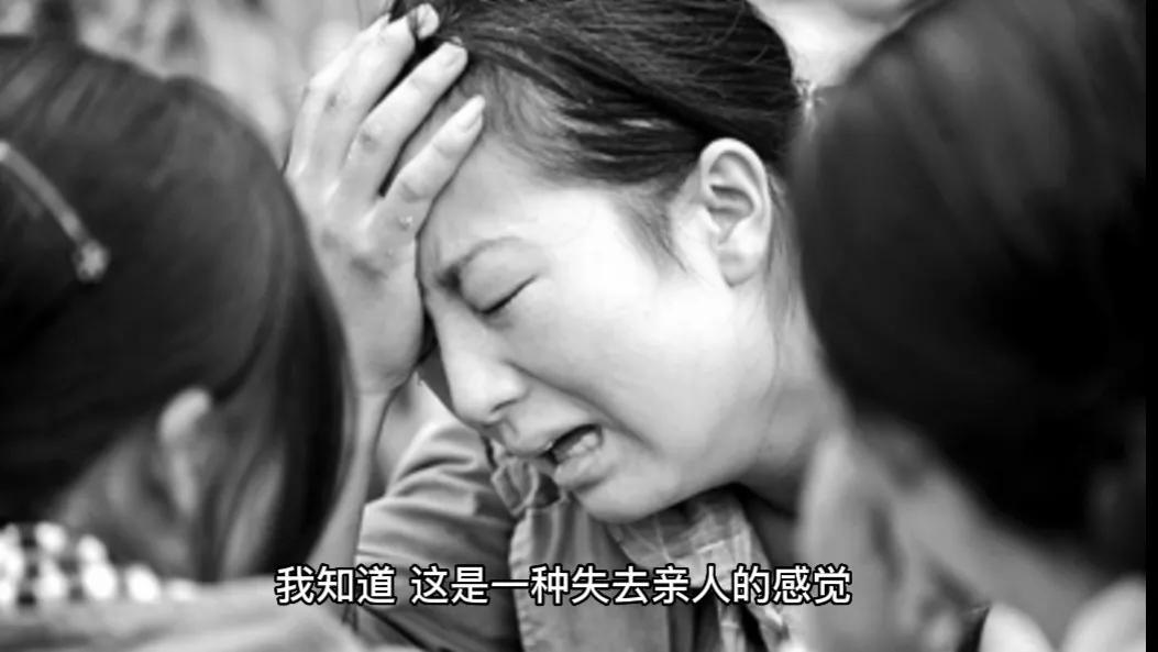 《假装没有了您》