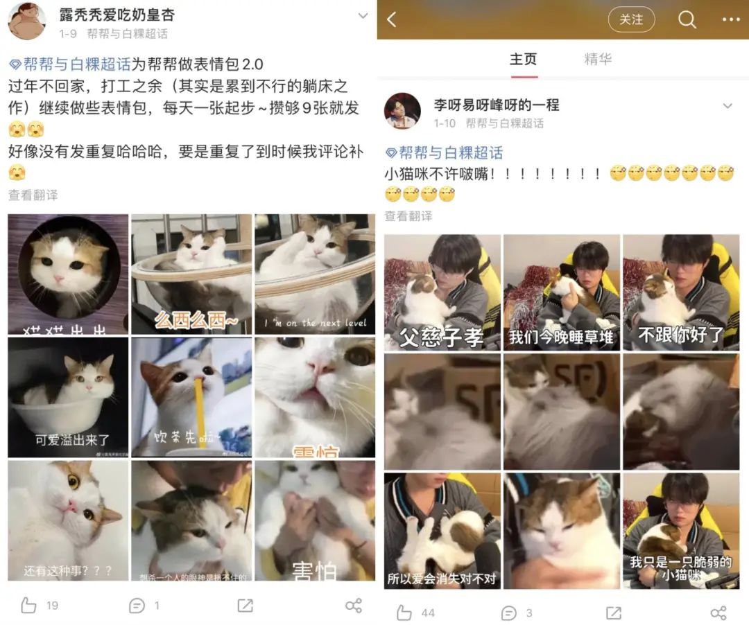 每天都在用的表情包，竟然是一个百大UP主？