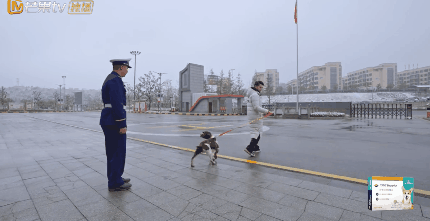 10分钟看哭7次！当他们不再“有用”的时候，却也无法正常生活