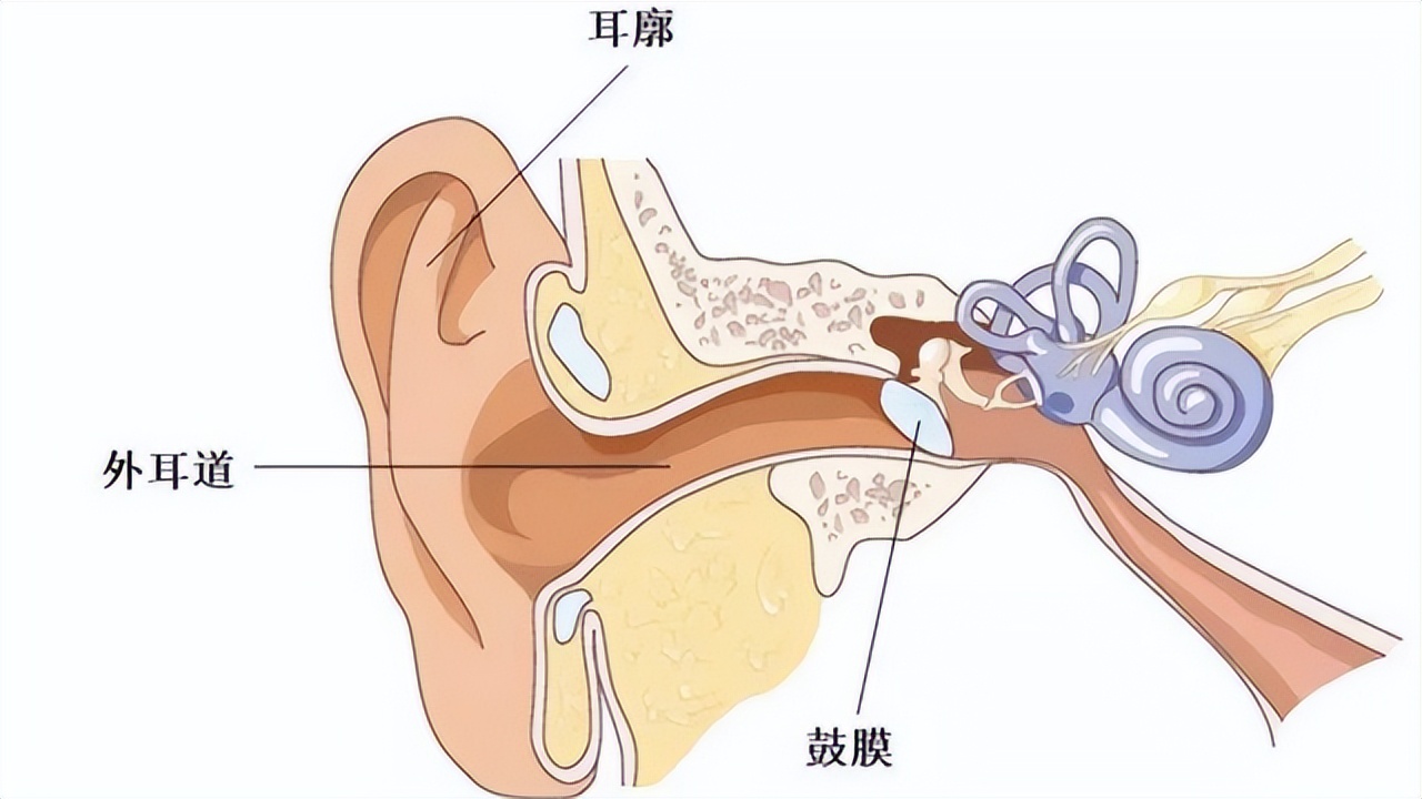 耳朵裡面經常癢，卻啥也掏不出來？ 這是為什麼？ 醫生揭曉答案