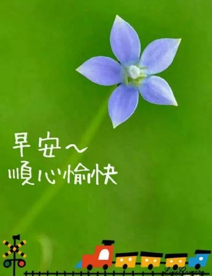 周六早上好朋友，收拾一下心情，祝福你新的一天好的心情图片