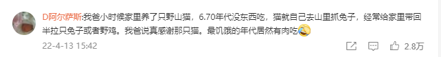 主人没饭吃，猫猫真的会抓鱼报恩吗？