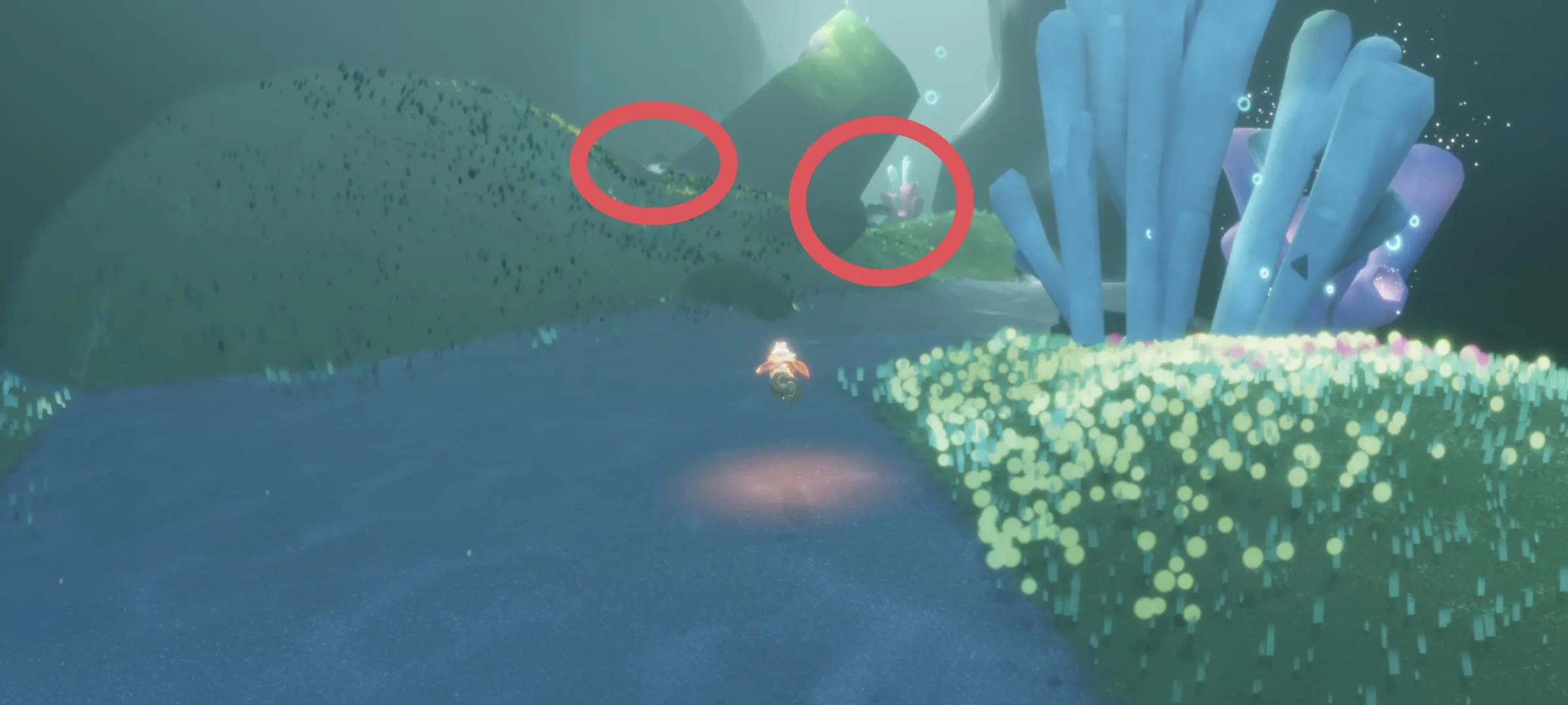 光遇空巢版下载全物品