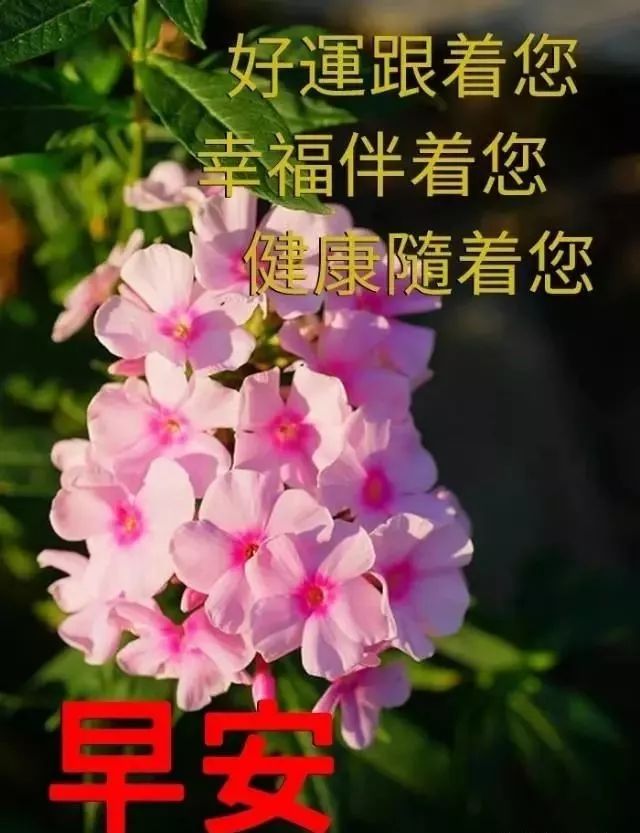周二早上 早晨好暖心祝福语图片 成长是一种经历，成熟是一种阅历图片