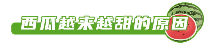 现在的西瓜太甜了，大部分打了激素？真相可能和你想的不一样