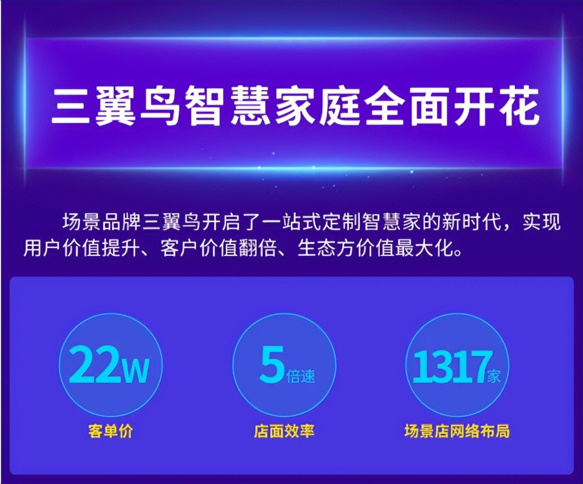三翼鸟进展如何？请看2021成绩单