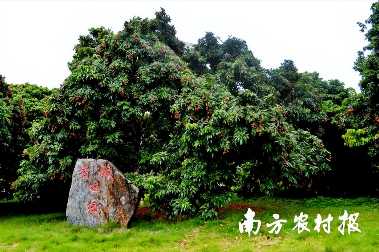 寻路农遗｜骆世明：中国的文化自信，跟深厚的农业传统是相关的