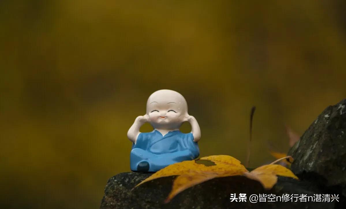 回首半生，才觉得人生一切皆是命中注定