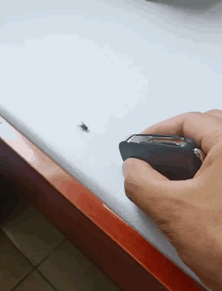 女朋友出差了，说去了上海出差，还给我发来了一张这样的照片