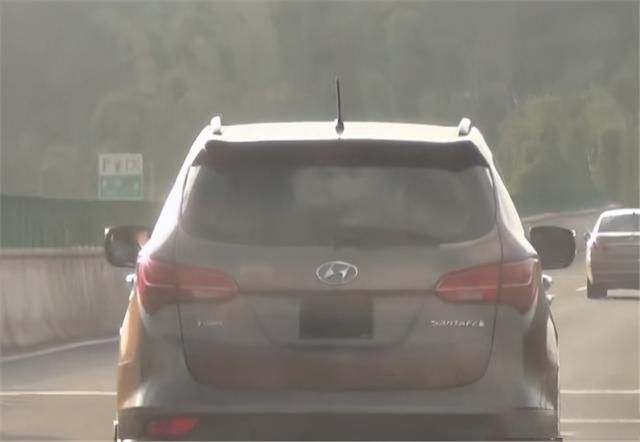 2017年三辆豪车去云南旅游，引起警方怀疑，全家12口多人判死刑