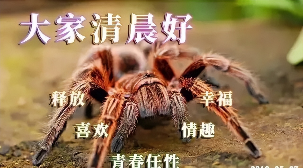 新的一周清早慰问大家早上好漂亮的表情图片，相识是缘，相知是情图片