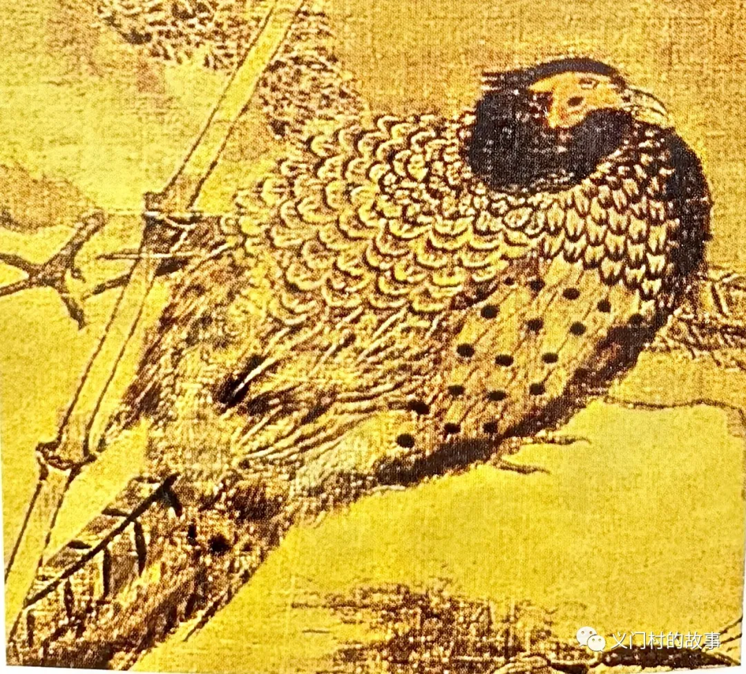 金鸡报晓 赏邮(鸡)话鸡(图)