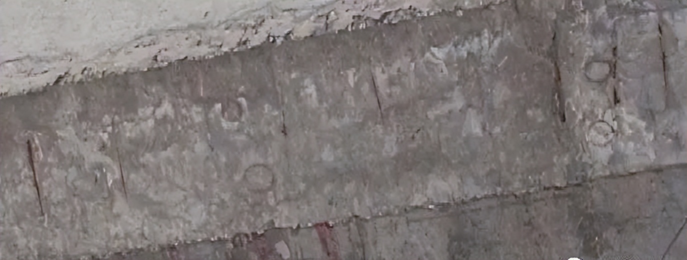 ι14ֽͨμϸ׼