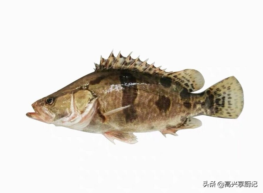 唐代诗人张志和曾作诗云:"西塞山前白鹭飞,桃花流水鳜鱼肥".