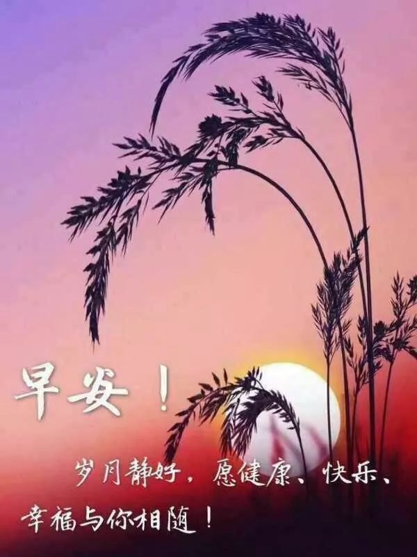 周六最新早安问候祝福图片温馨带字 给你道声早安，祝你心情愉快图片