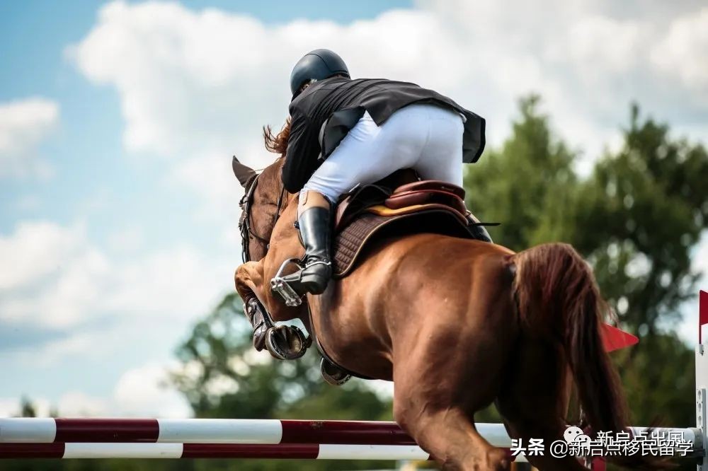 爱尔兰移民生活之娱乐篇（二）