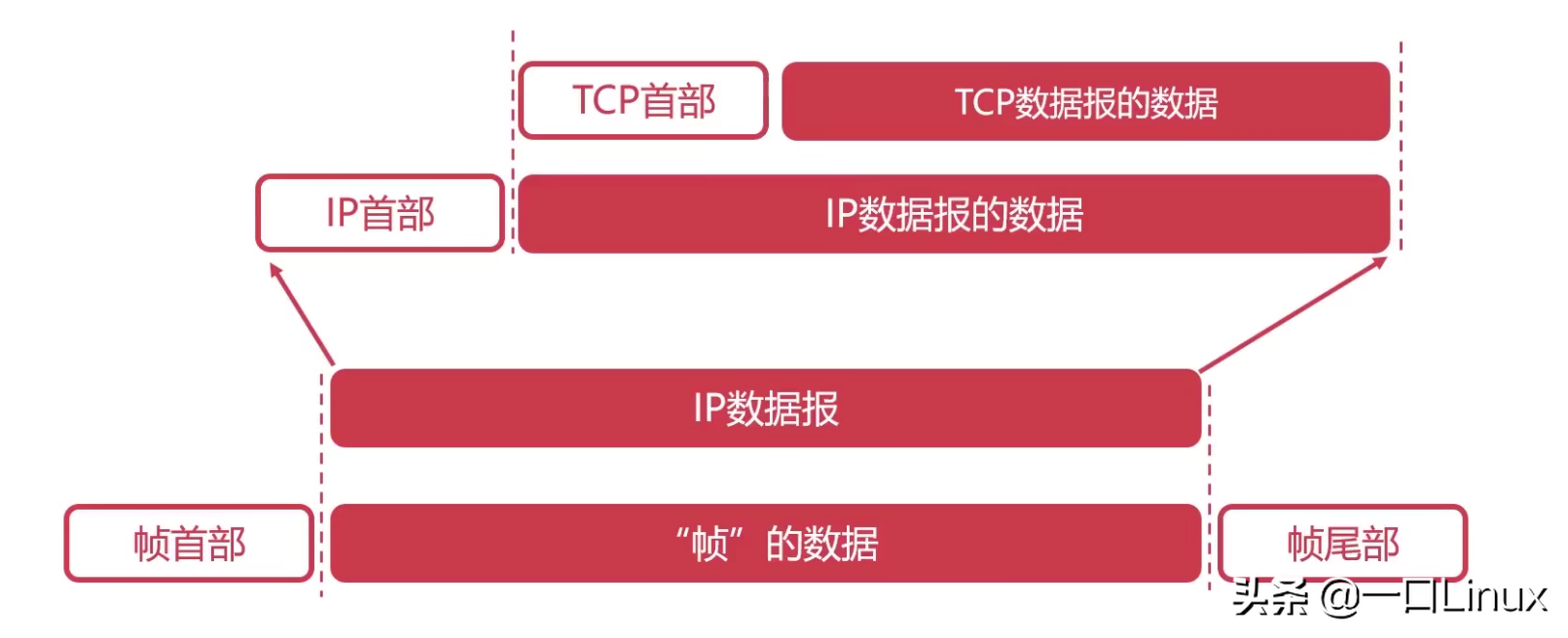 計算機網絡知識點全面總結（這也太全了吧！）