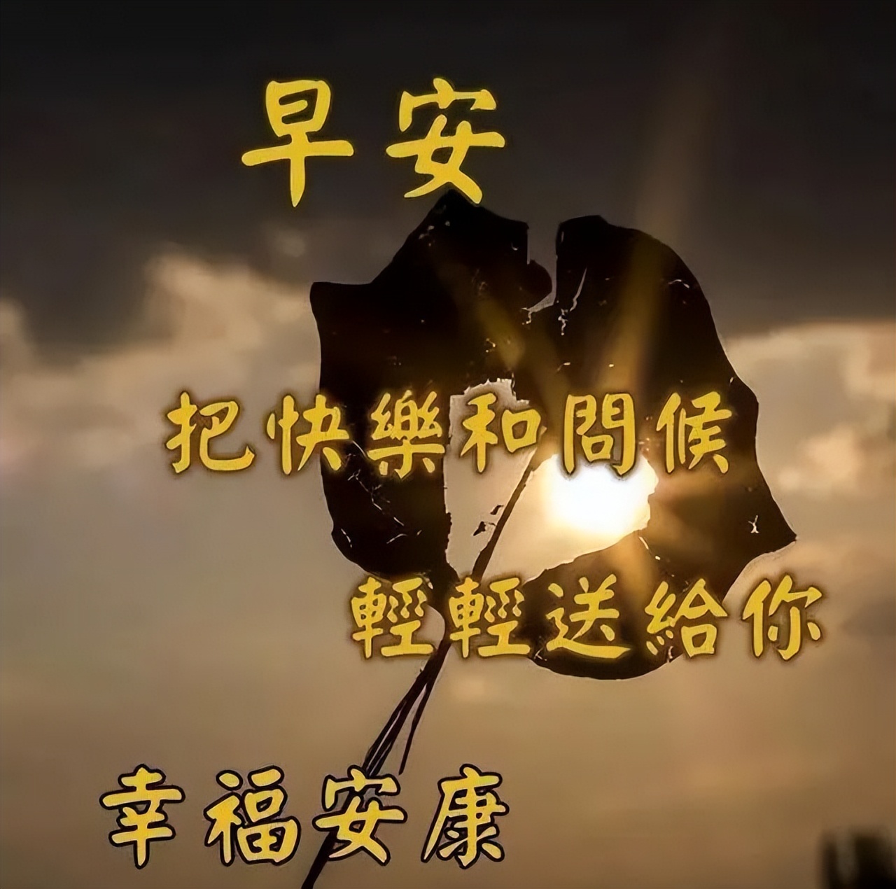 2022朋友圈早上好问候祝福语录，放下苦痛，才能沐浴阳光图片