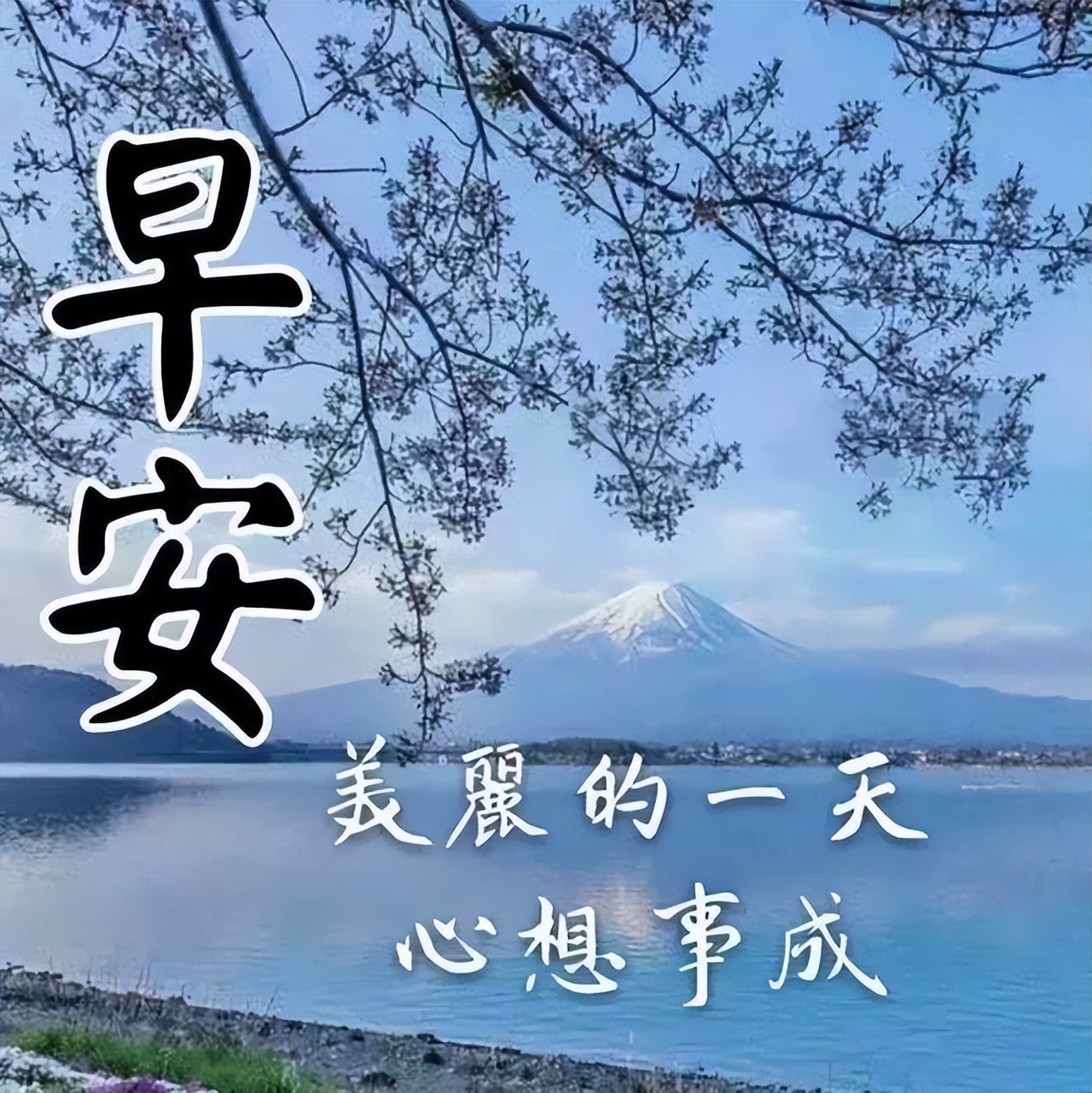 微信早上好图片带字 朋友早晨好美图大全 祝福你快乐吉祥 平安健康图片