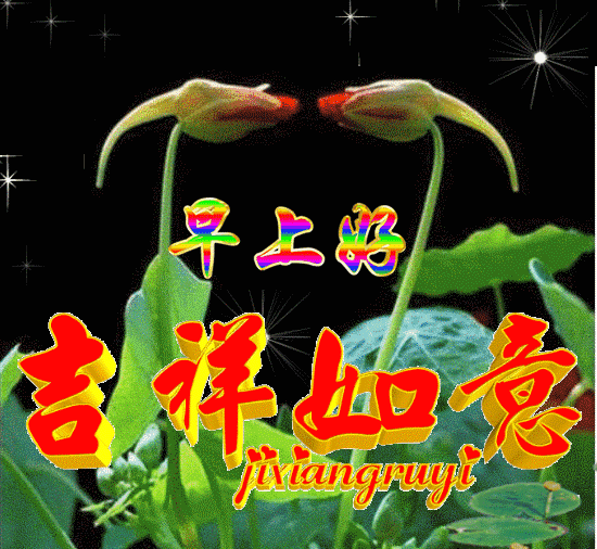 星期三早上好表情包动图更新 愿你快乐好心情图片