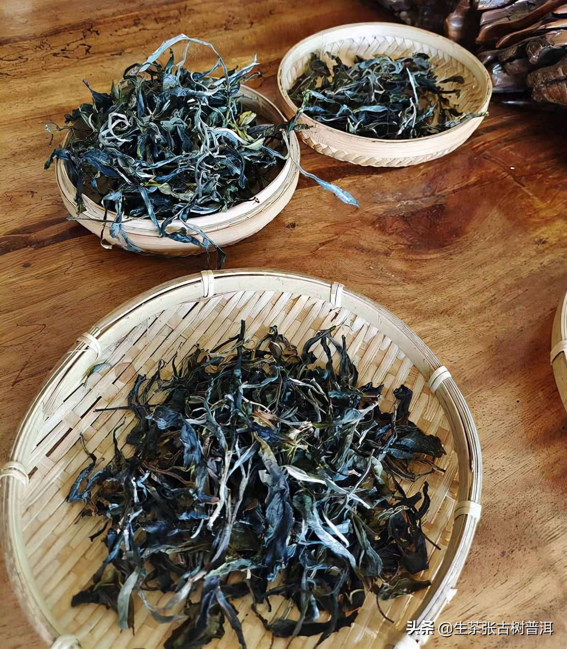 详解易武刮风寨普洱茶,入喉甘甜,韵味悠长