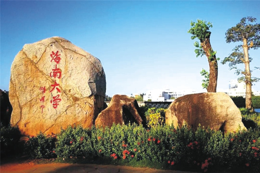 海南大学2022年美术音乐编导表演招生计划公布，录取需要多少分？