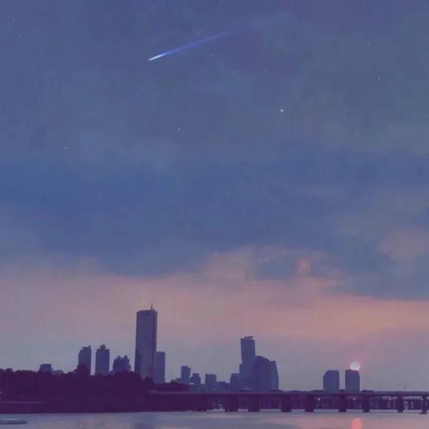 文案‖得偿所愿是世界上最好的惊喜