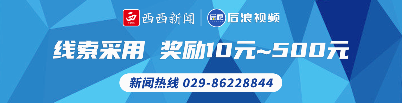 商洛市科技特派员田间地头教技术 助力乡村振兴