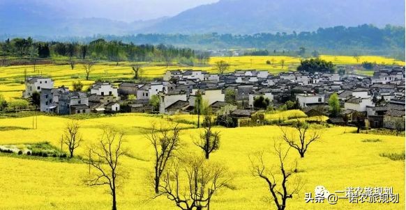 农村宅基地新规：四不批、四禁止，两点要注意