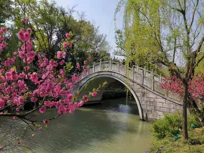 青门引·清明节