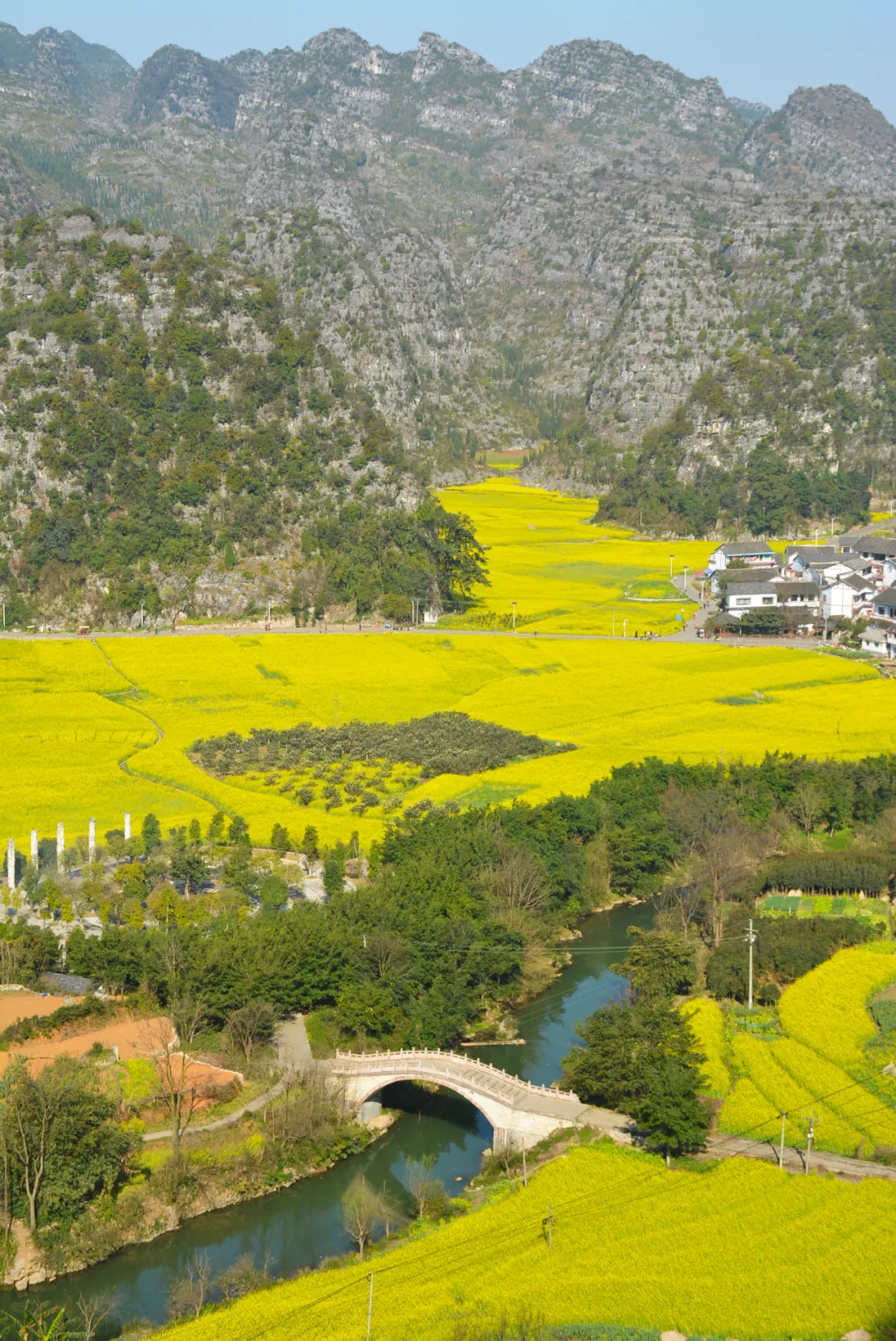 快开啦！这些地方的春景正在悄悄席卷全国，大气又美丽，别错过
