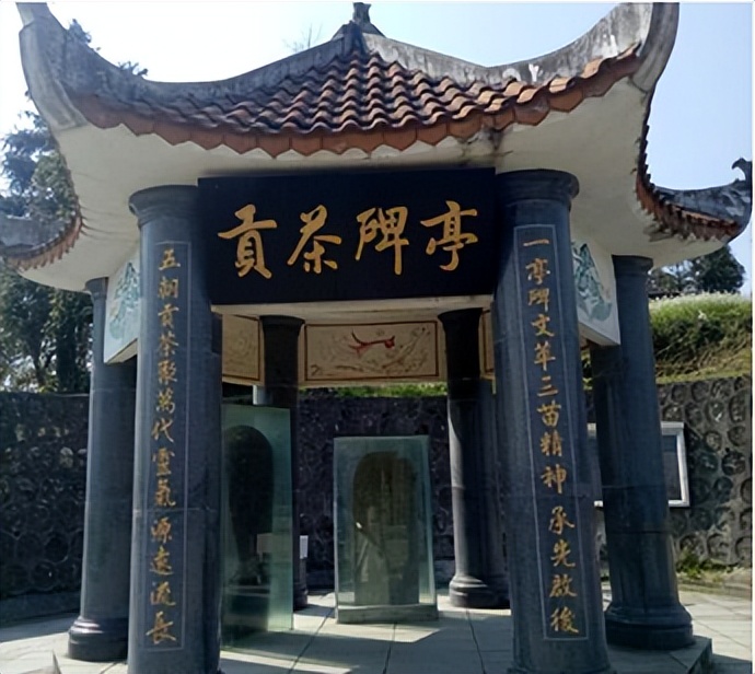 可佳艺术‖可佳博物馆明前茶雅集