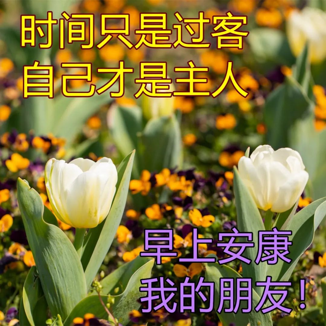 2022.04.22早安心语，唯美正能量问候语录，开启美好的一天